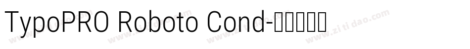 TypoPRO Roboto Cond字体转换